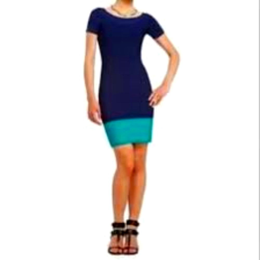 Bcbg Kisha bodycon